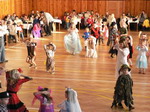 Vlkoš - Karneval