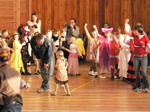Vlkoš - Karneval