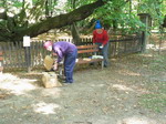 Zámecký park Bzenec - Pohádkový les (první část)