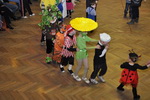 Kulturní_dům Žádovice - Karneval